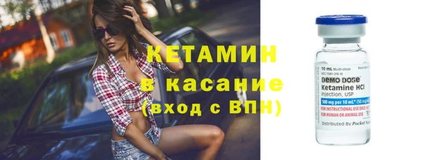 PSILOCYBIN Тайга