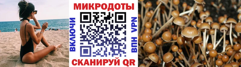 купить  сайты  Ряжск  Галлюциногенные грибы Psilocybine cubensis 